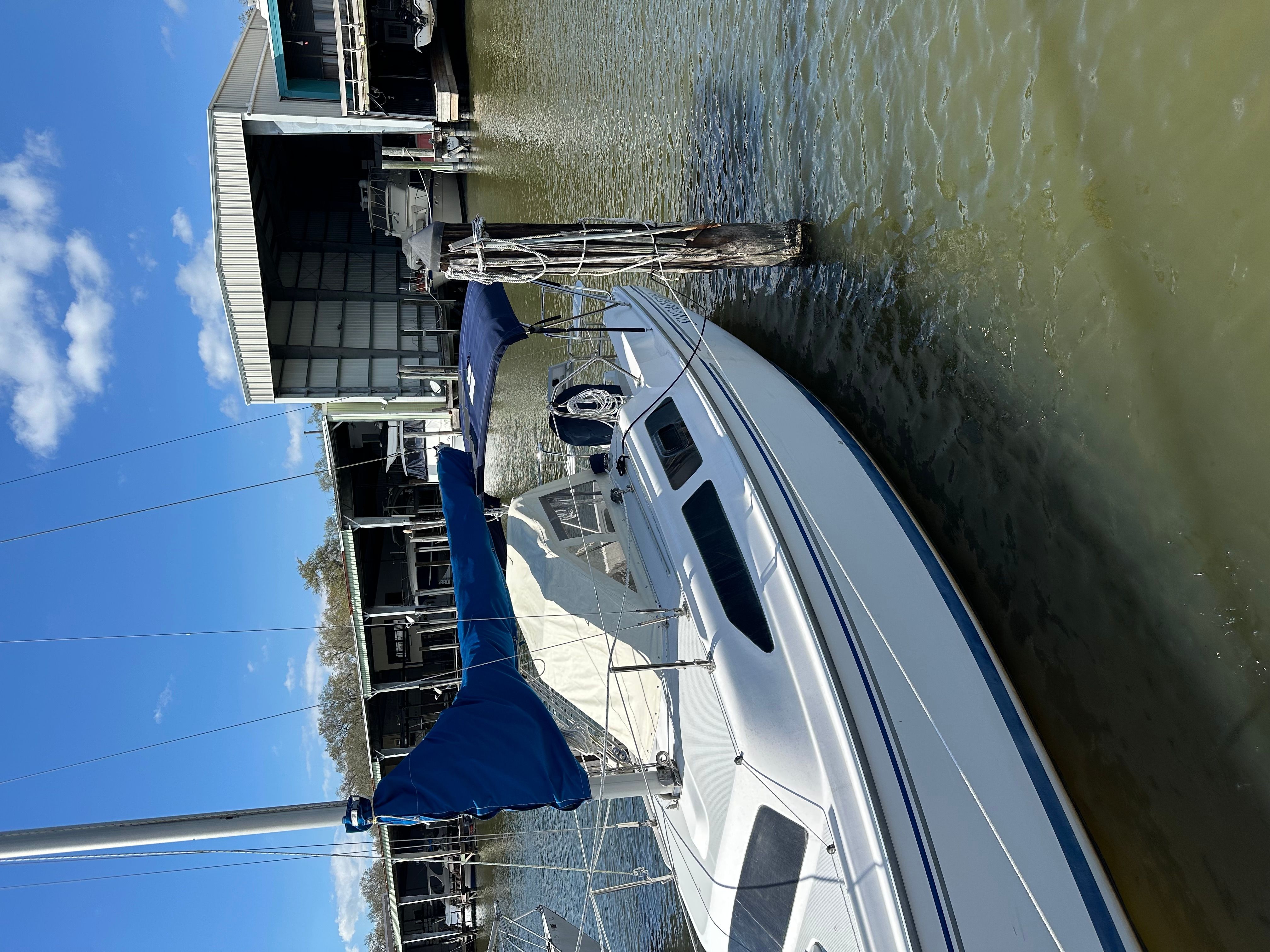2005 Catalina C250 - 17