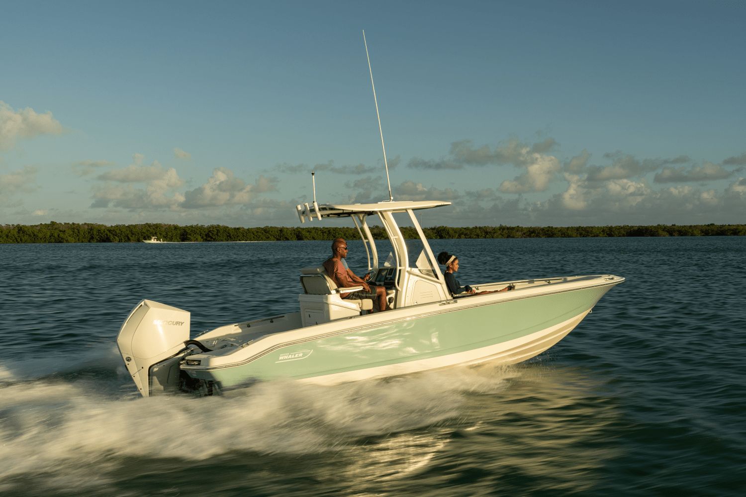 2026 Boston Whaler 250 Dauntless - 34