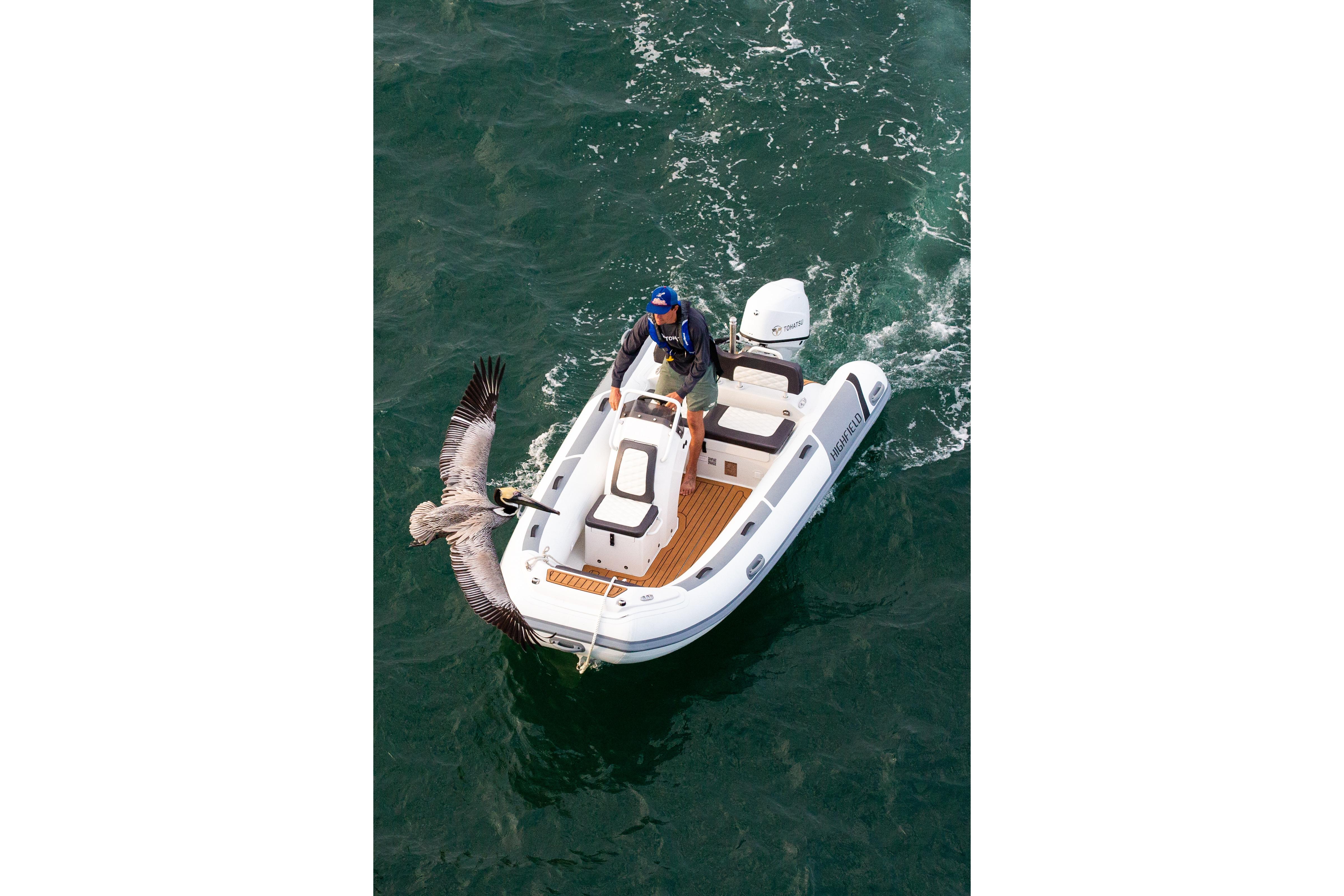 2026 Highfield Sport 420 boat on water with person and pelican interaction.