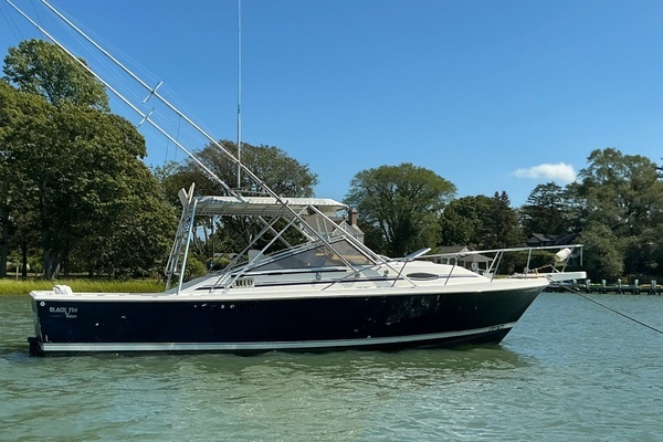 1988 Blackfin