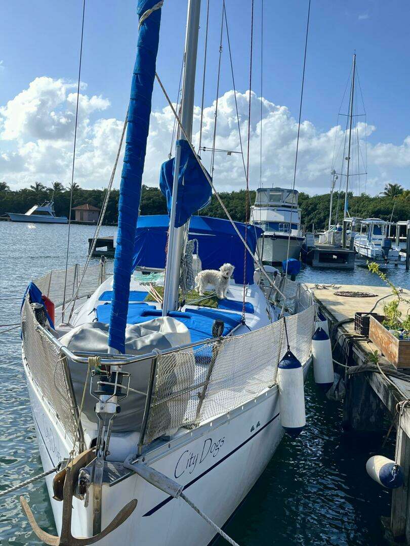 2002 Beneteau 393 - Image 12