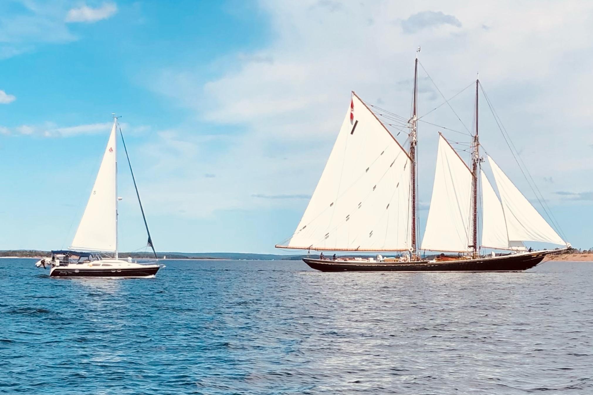 Sailboats on open water, featuring a 2003 Catalina 387 under clear blue skies.