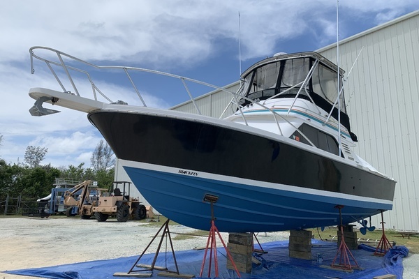 1991 Blackfin