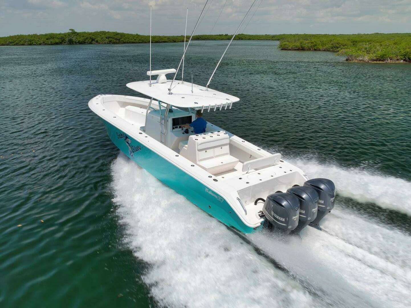 2013 Bahama — - Image 4