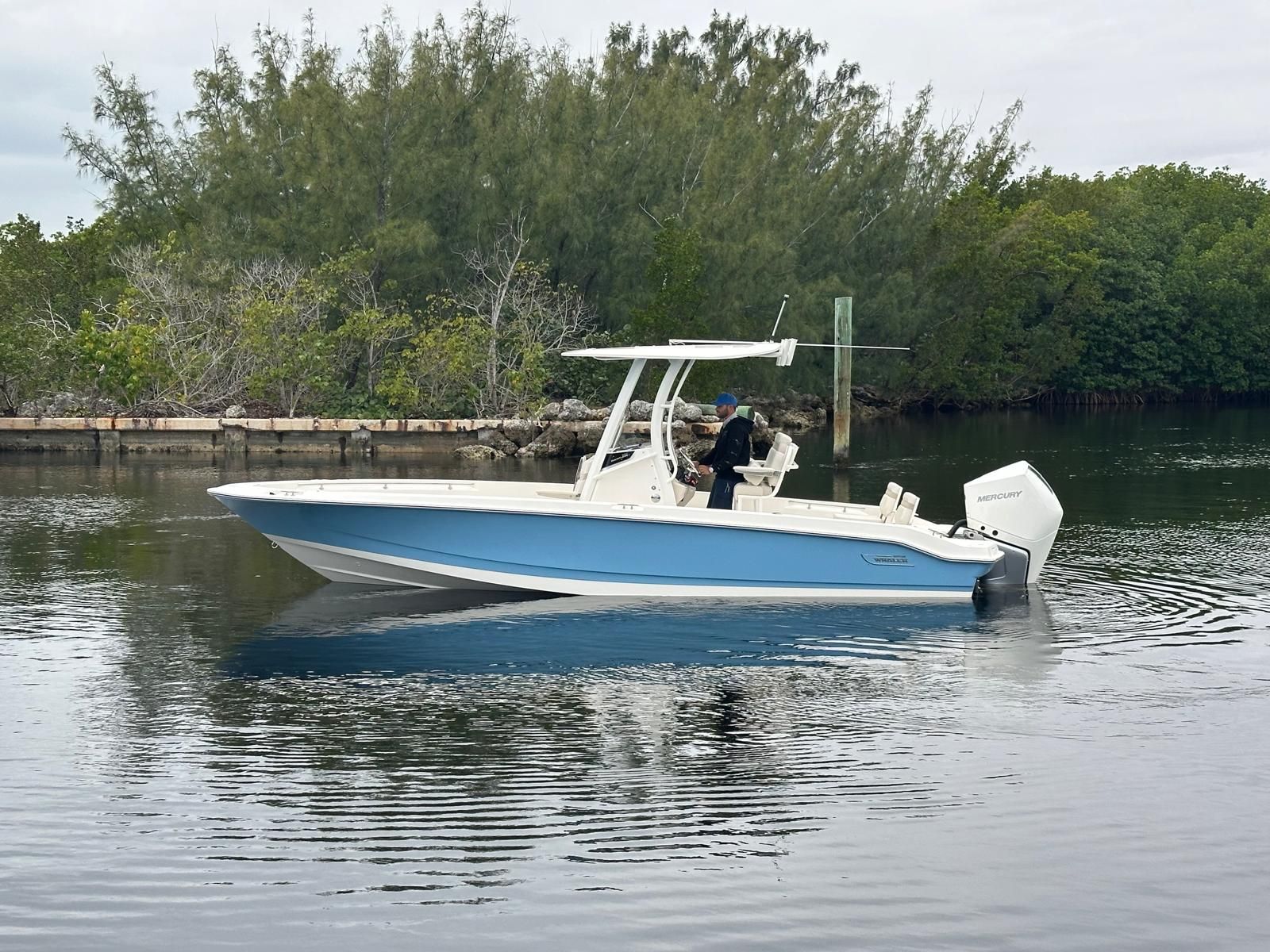 2026 Boston Whaler 250 Dauntless