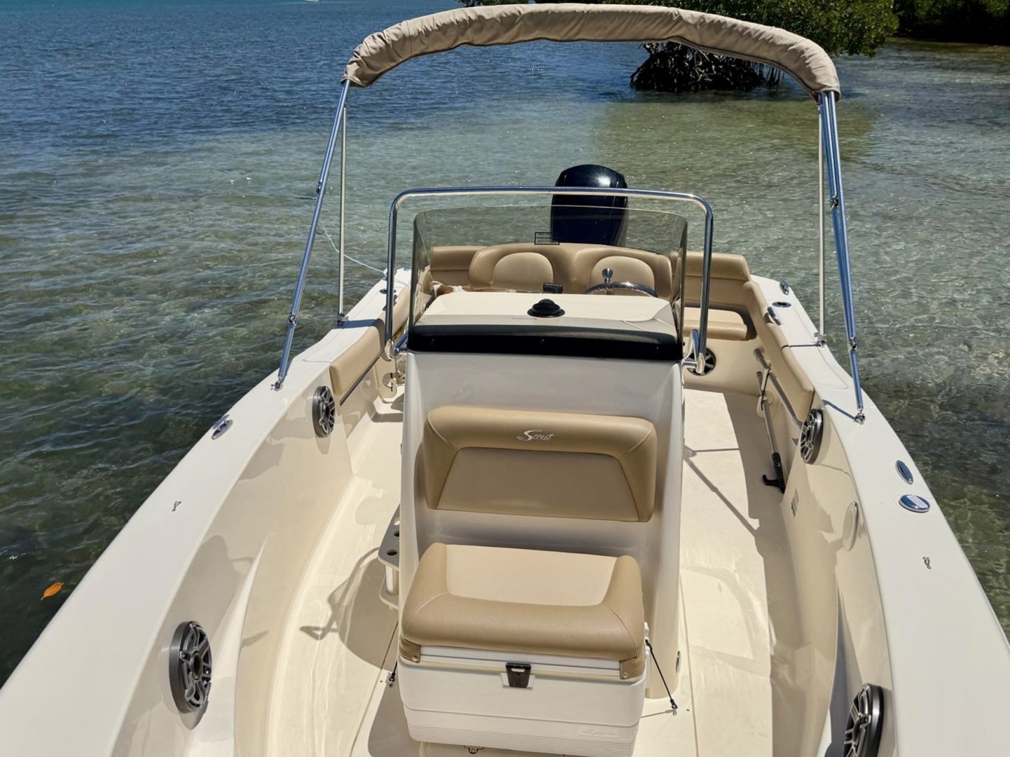2019 Scout 195 Sportfish - Image 5