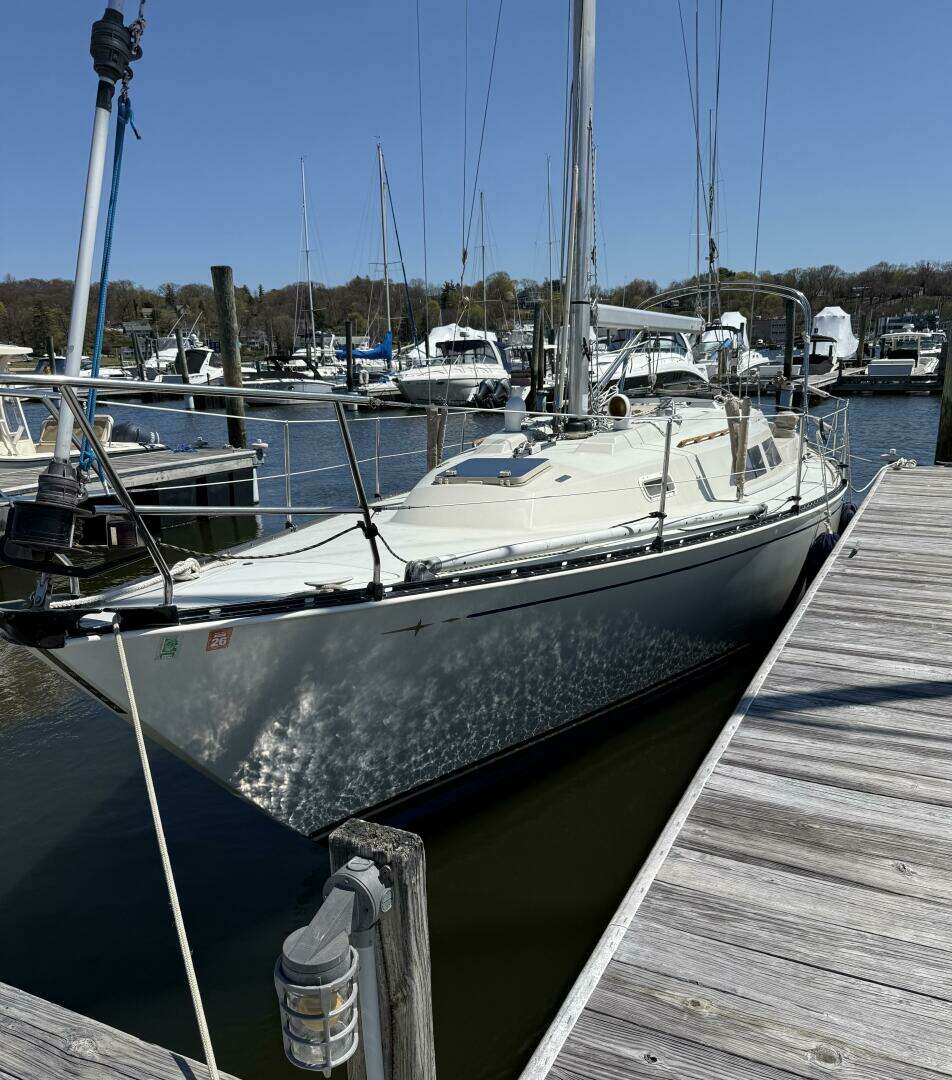 1983 C&C 37 - Image 2
