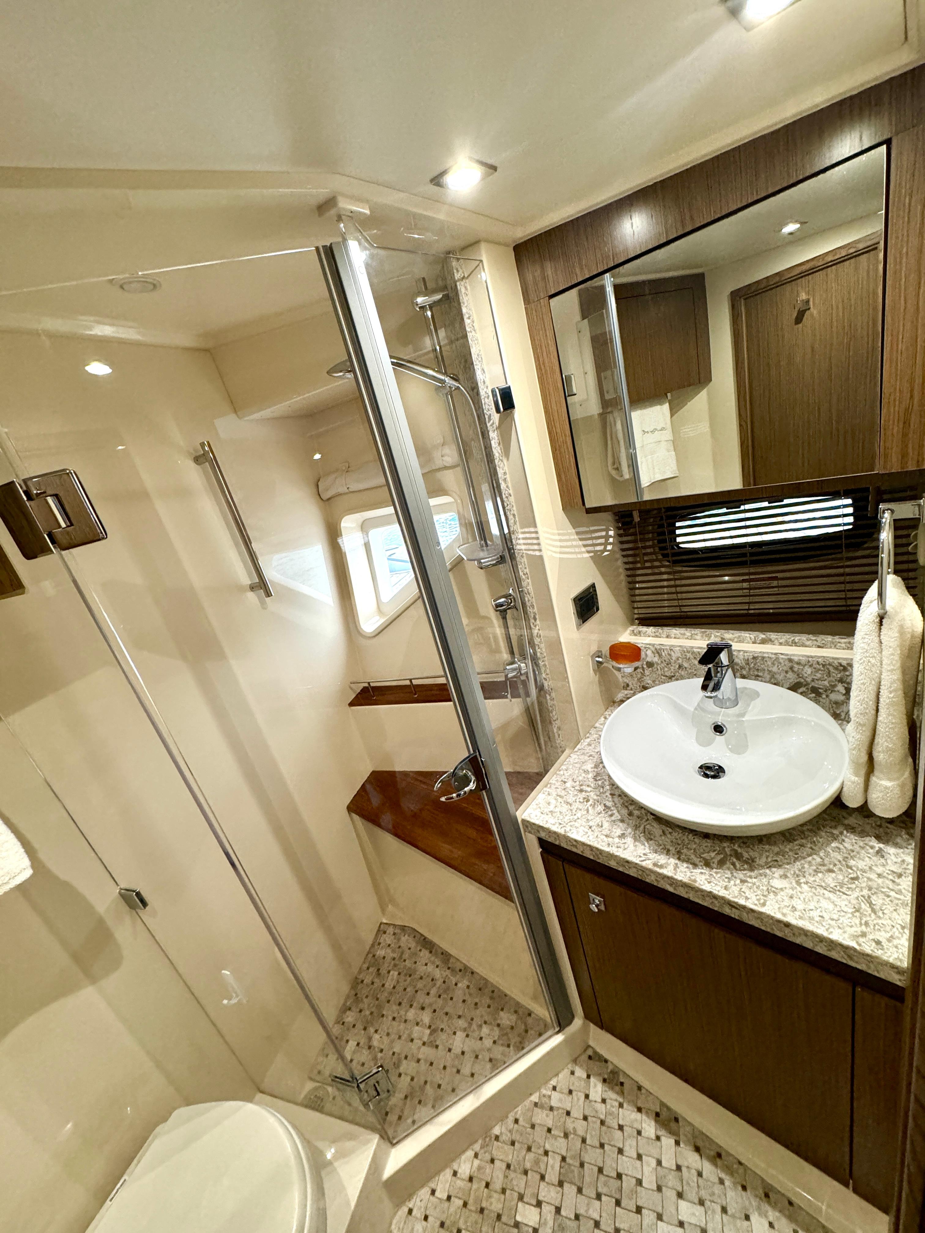 VIP / Guest Head & Shower