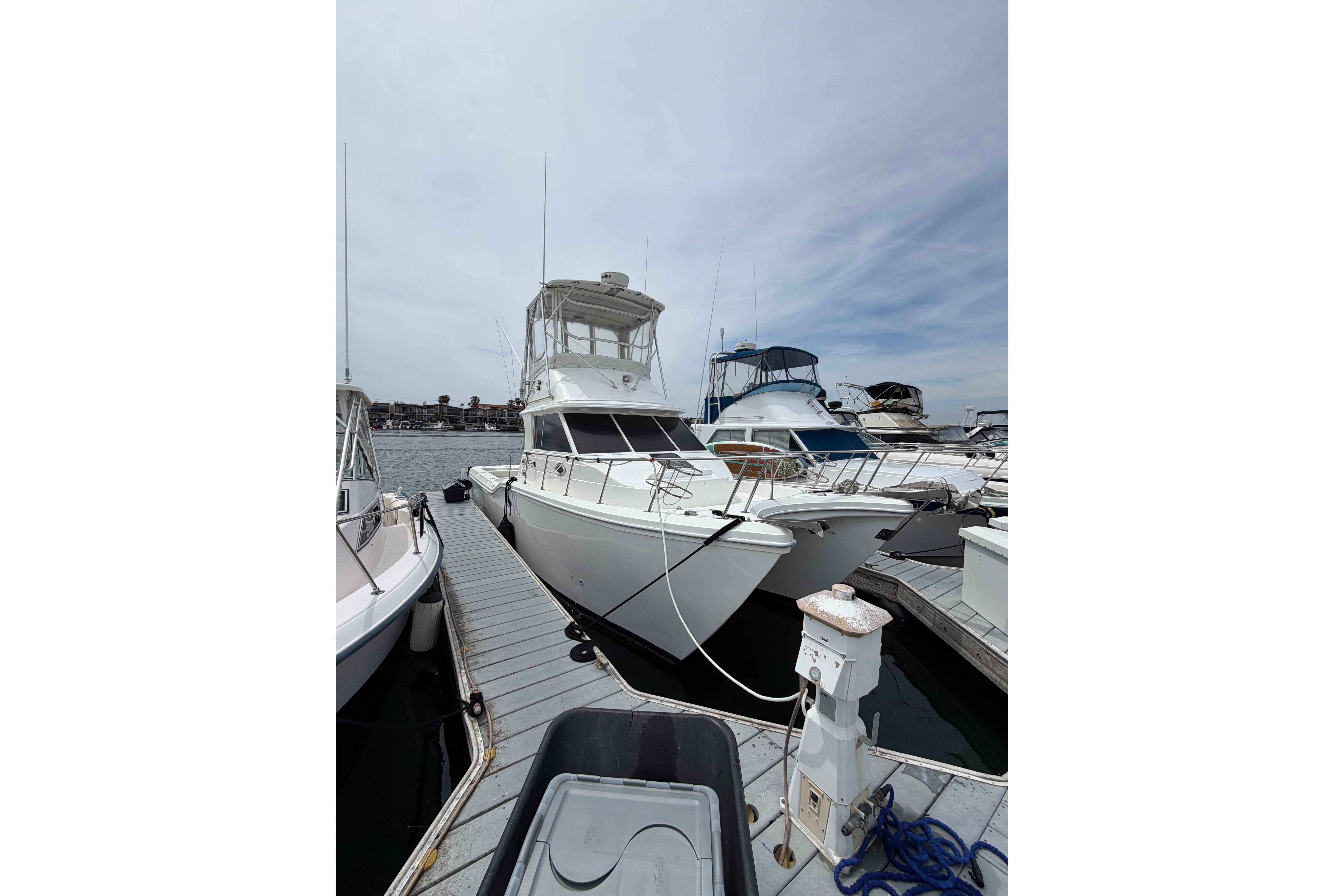 1999 Baha Cruisers King Cat