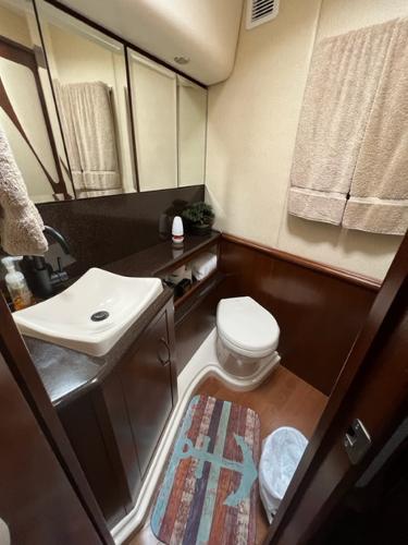 2009 Ovation 52 yacht bathroom with sink, toilet, and nautical-themed decor.
