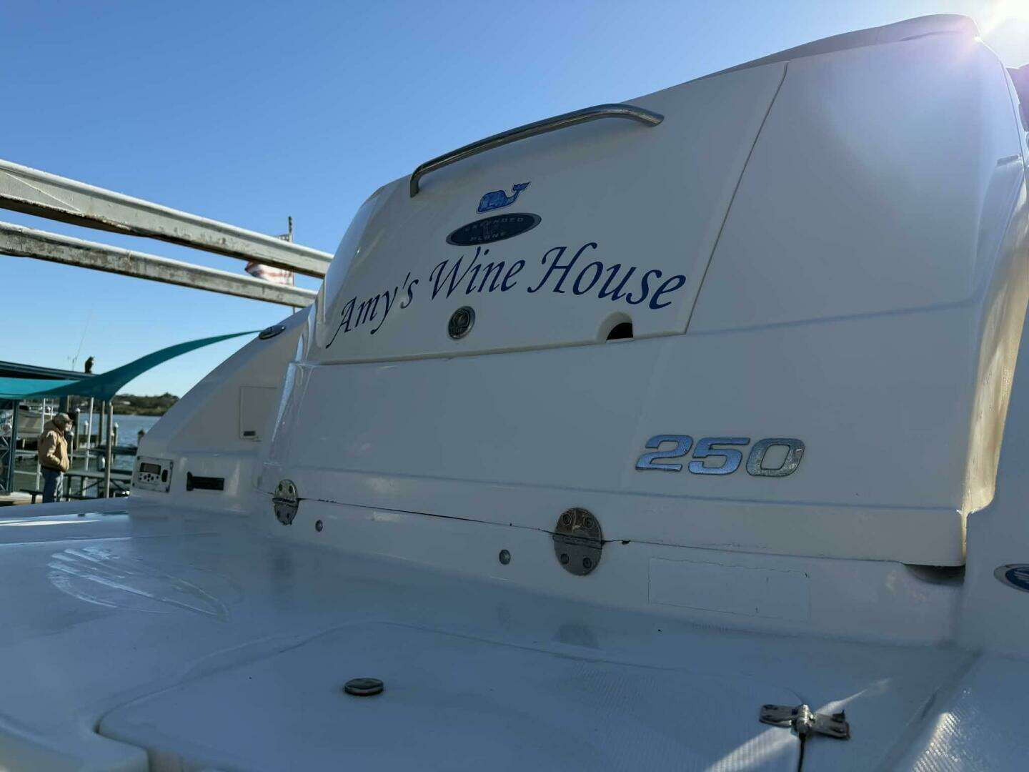 2008 Chaparral 250 Signature - Image 34