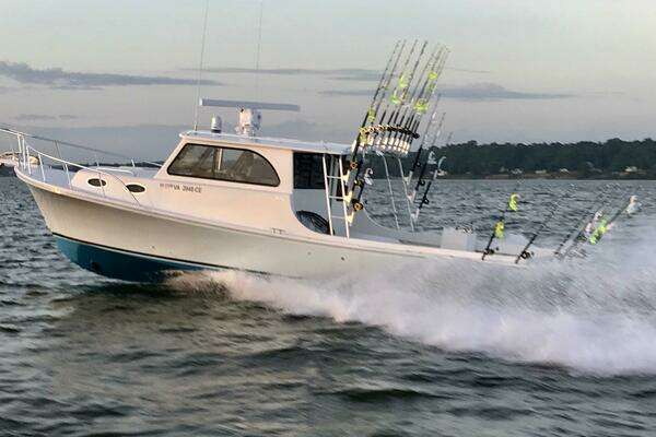 2019 Judge 36 Chesapeake