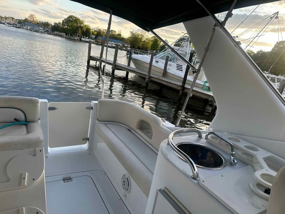 2001 Chris-Craft 308 Express Cruiser - 14