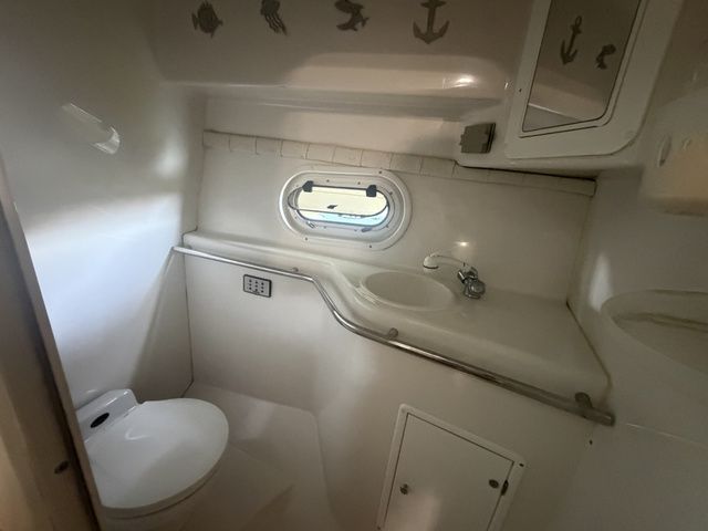 1999 Chris-Craft 300 Express - 13