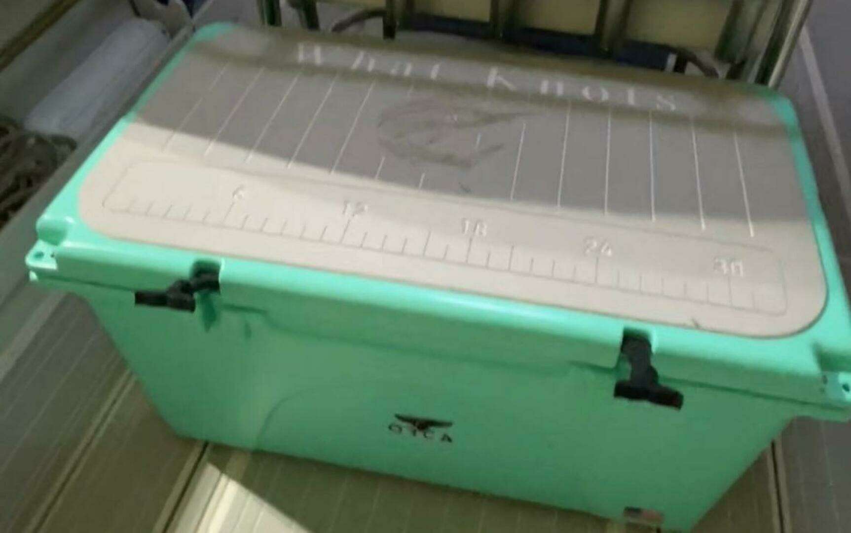 1990 Wellcraft Scarab 30 Sport - Image 37