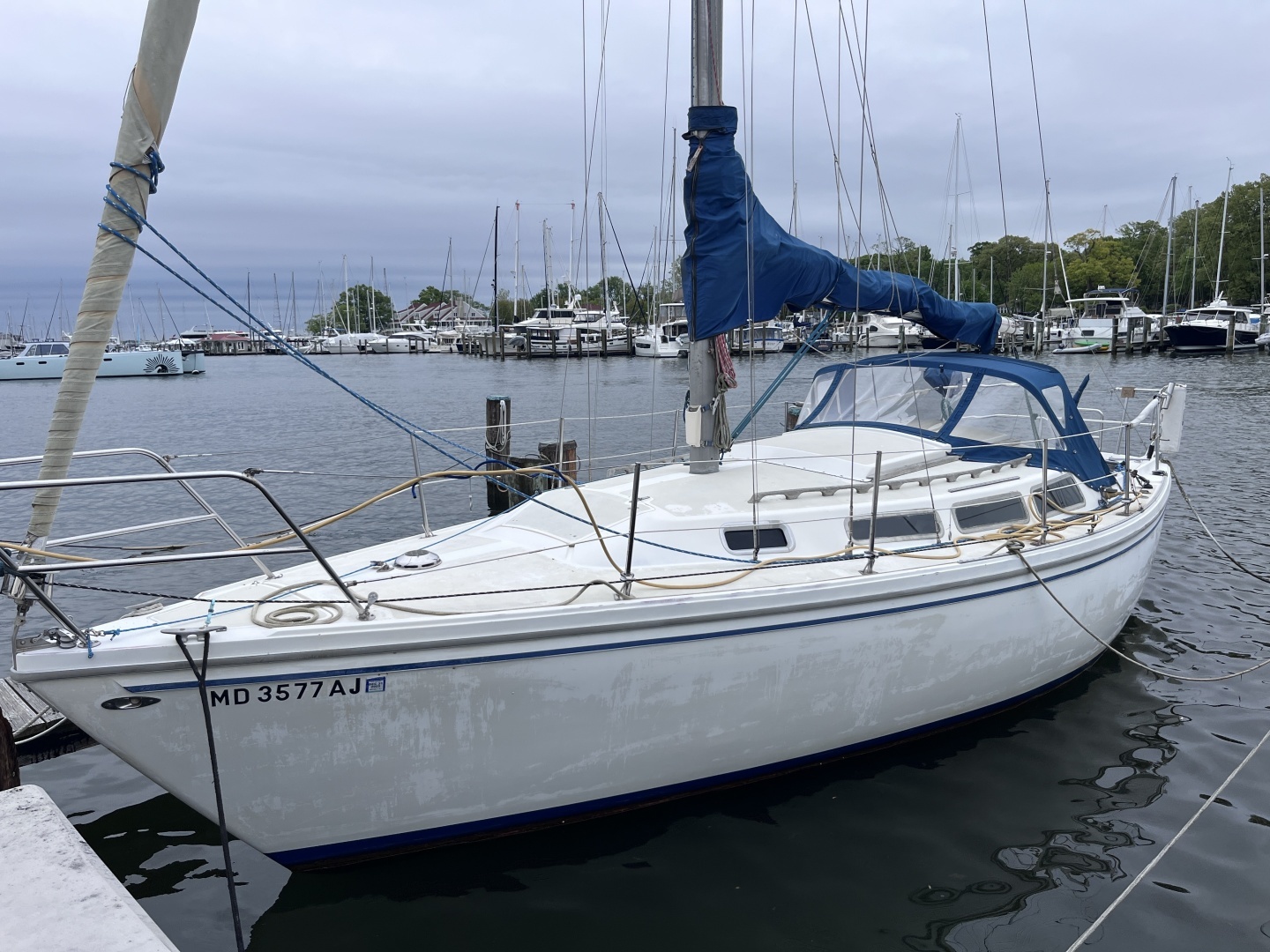 1978 Catalina — - Image 2