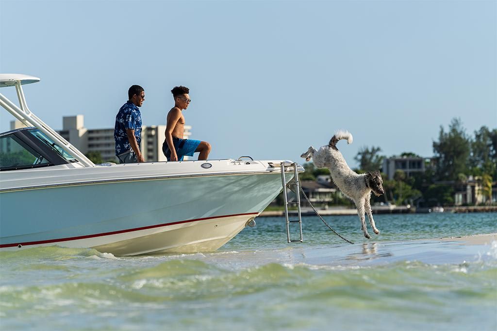 2023-Boston-Whaler-240-Vantage-MarineMax