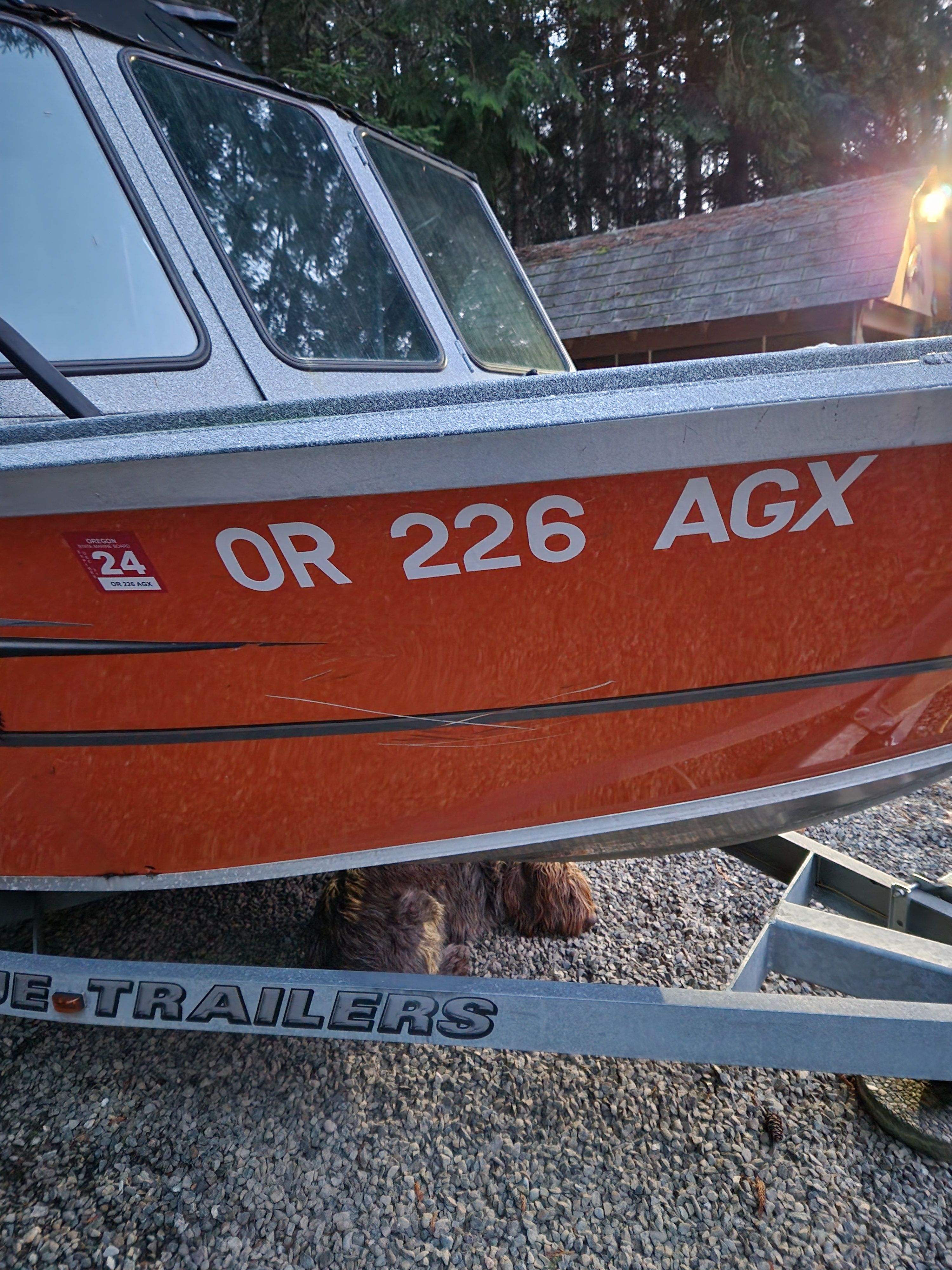 2020 Alumaweld Talon 18 boat on trailer outdoors.