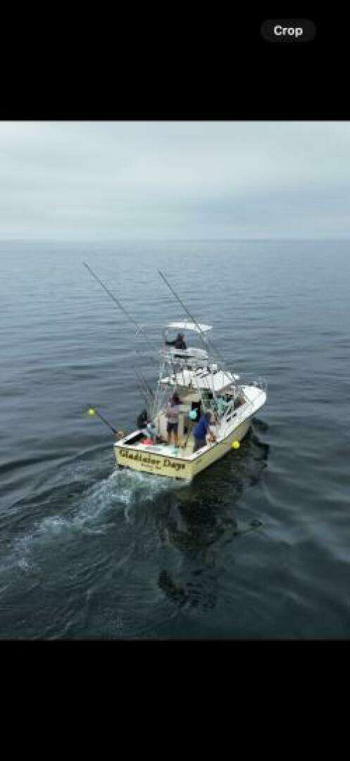 2005 Carolina Classic 28 - Image 3