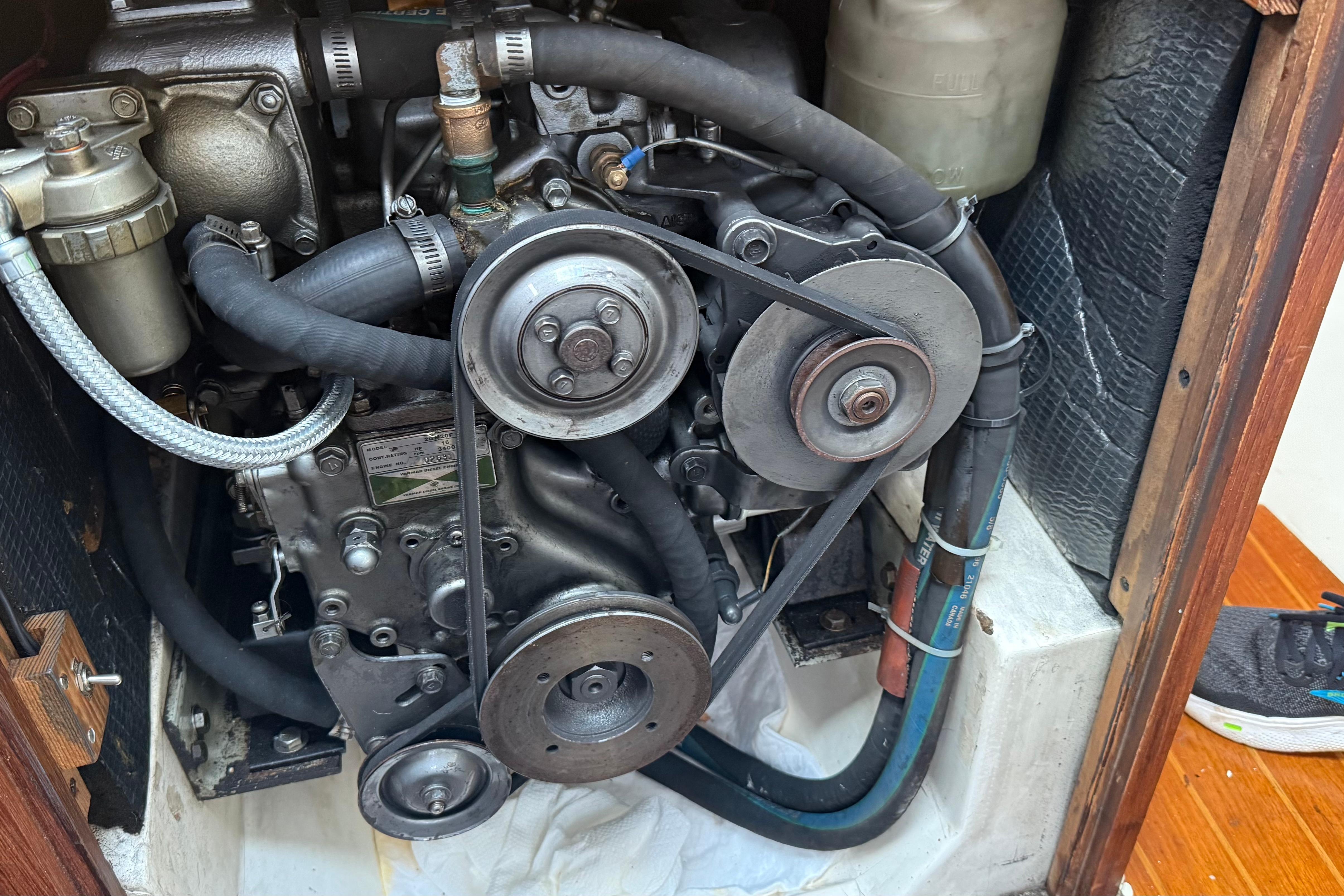 Engine compartment of a 1984 Hunter 31 sailboat, showing belts and hoses.