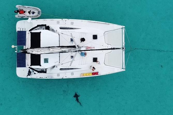 Aerial view of 2001 Robertson & Caine Leopard catamaran in turquoise water with a nearby shark.