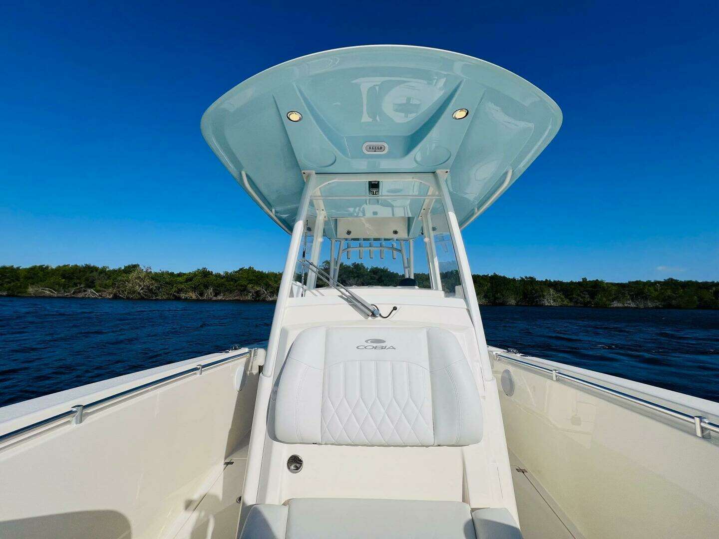 2021 Cobia 301 Center Console - Image 19