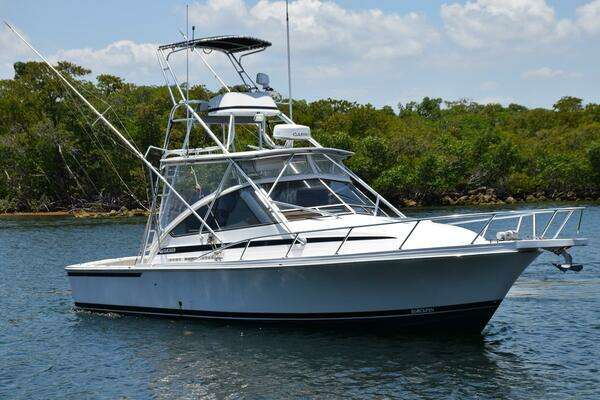 1995 Blackfin Combi 33