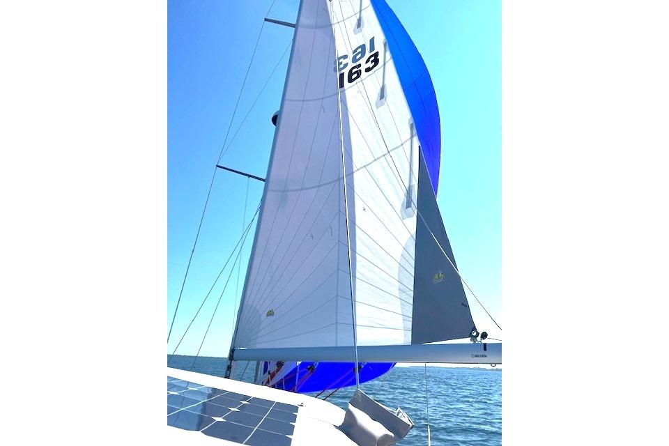 2022 Catalina 355