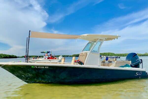 2018 Scout 251 XSS