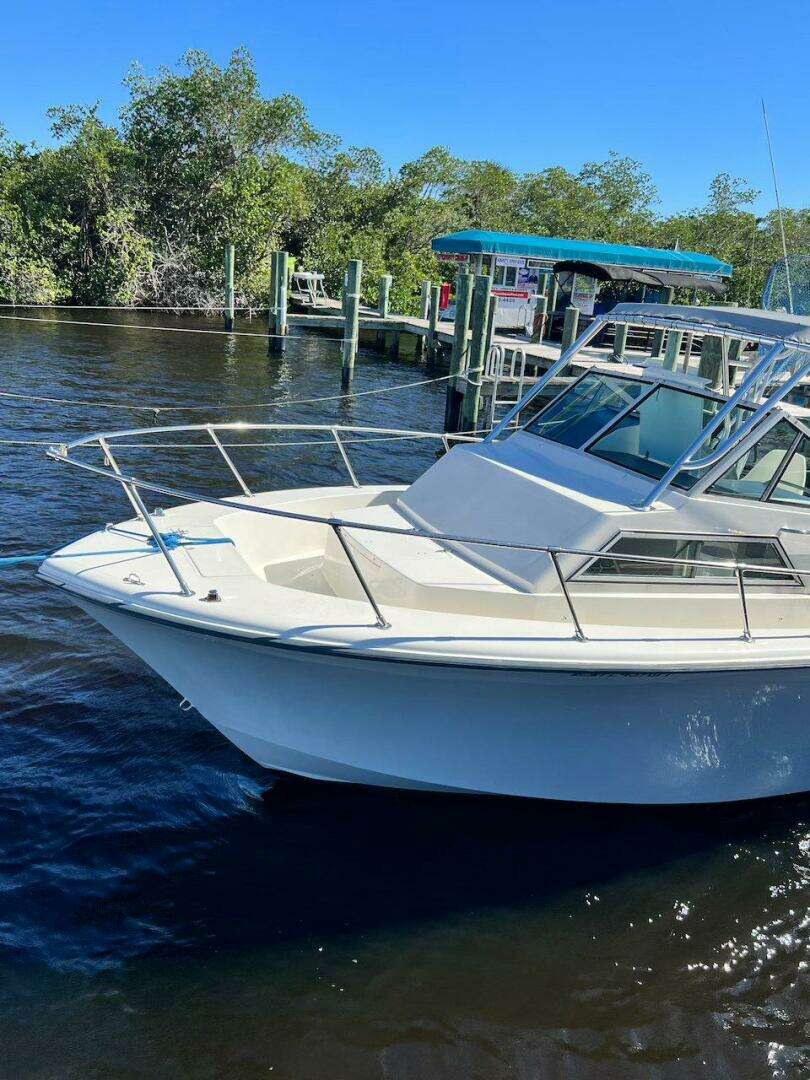 1988 Grady-White 25 SAILFISH - Image 7