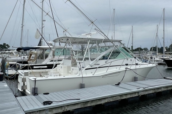1999 Cabo Express