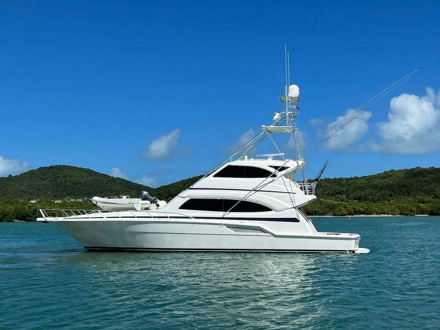 2004 Bertram 67 - Image 4
