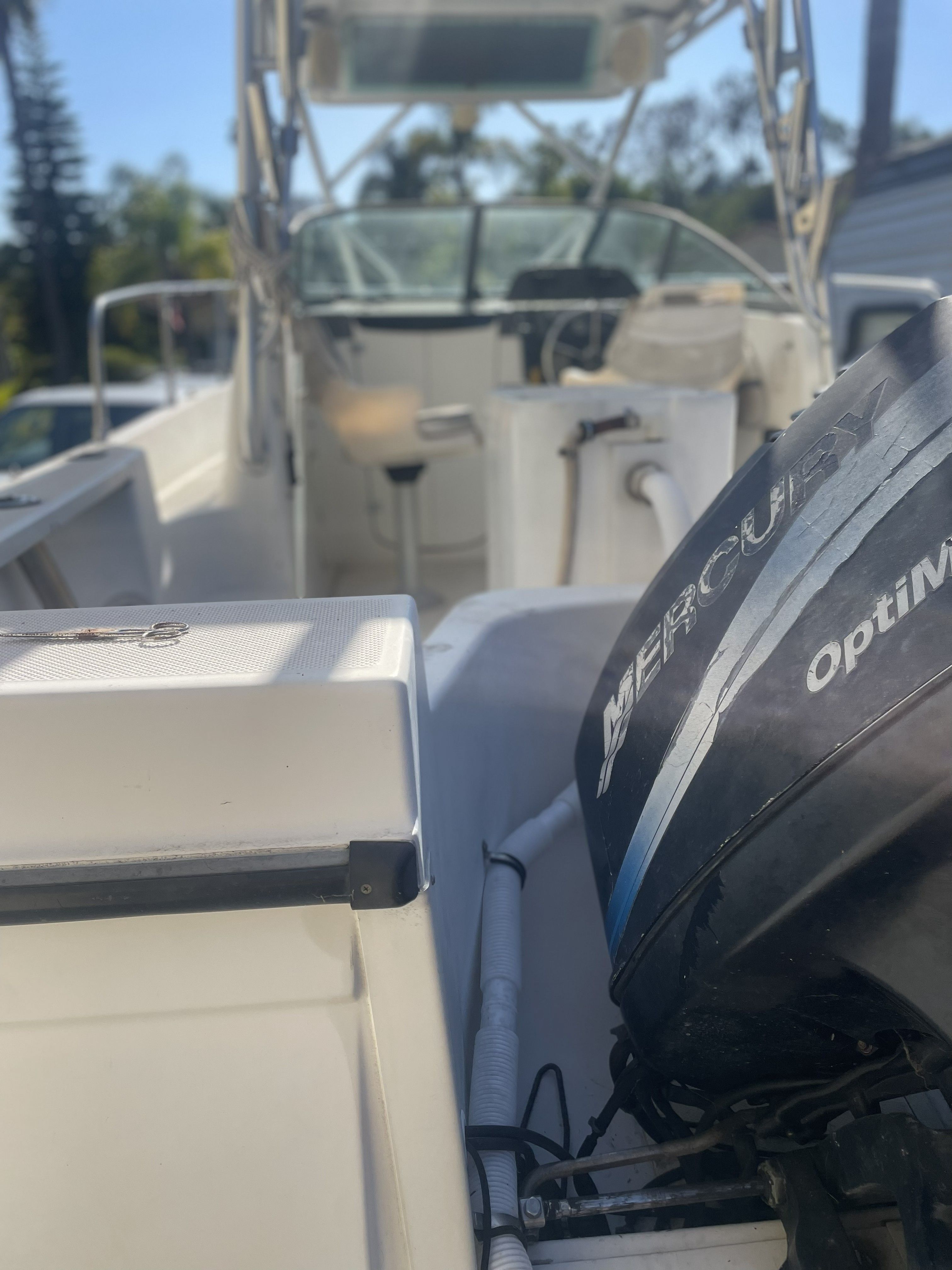 2001 Bayliner Trophy