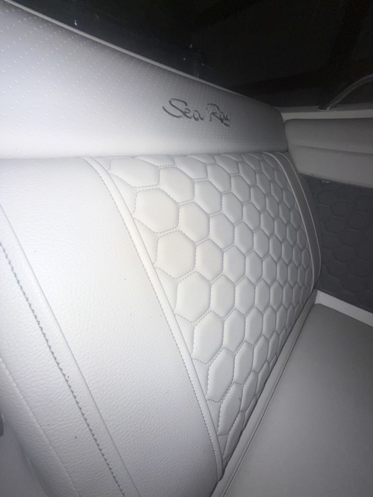 2025 Sea Ray SDX 290 - 4