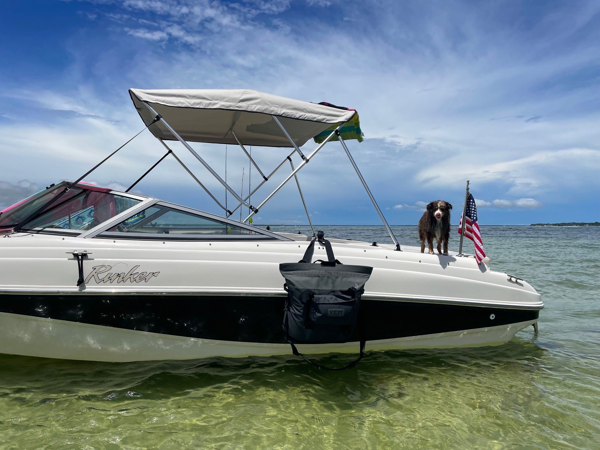 2002 Rinker 212 Captiva Bowrider with dog and US flag at the beach.
