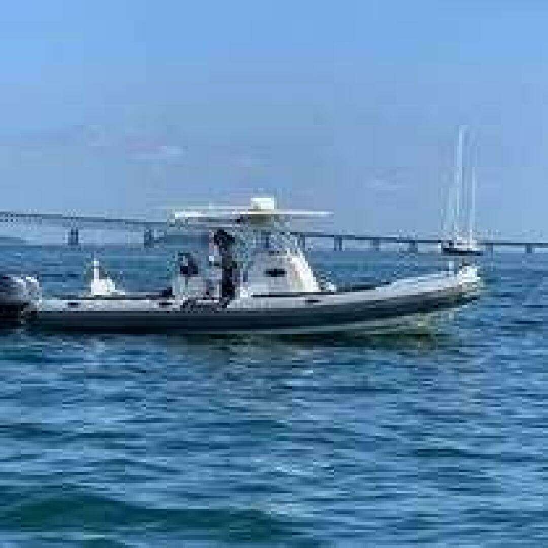 2015 Zodiac PRO 850 OPTIUM & Custom Trailer - Image 2