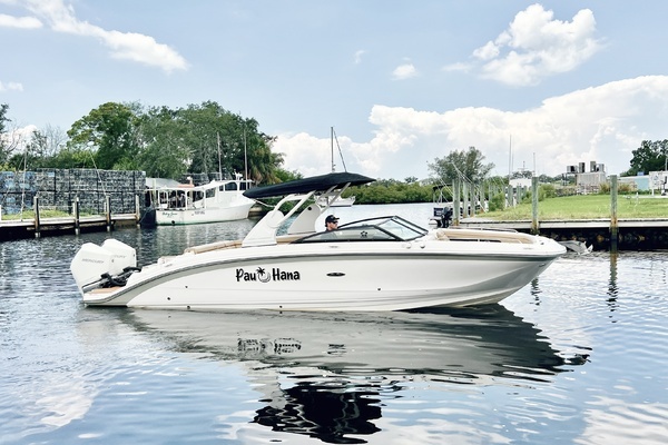 2019 Sea Ray SDX 290 OB