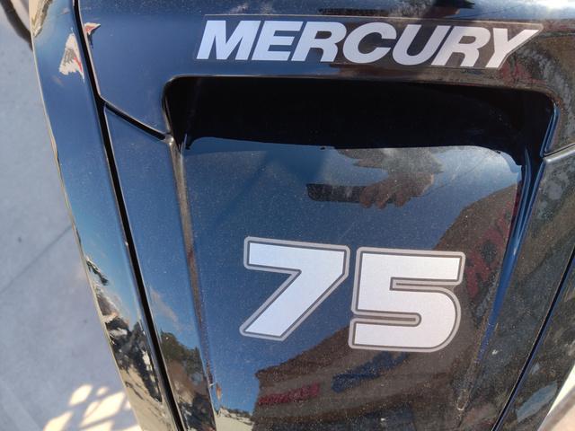 2024 Sun Tracker Bass Buggy 18 DLX - 23