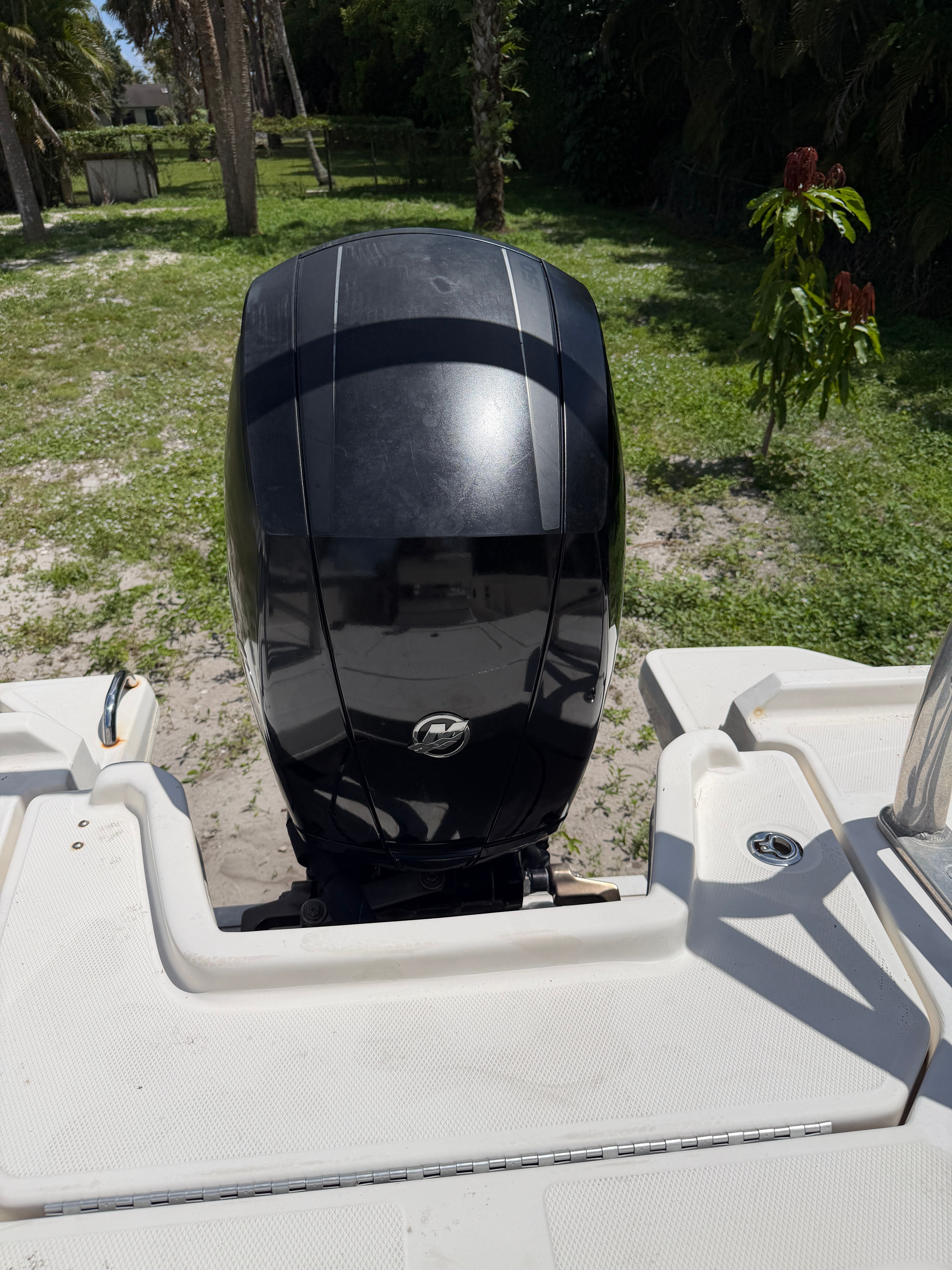 2018 Bayliner Element F21 outboard motor on boat.