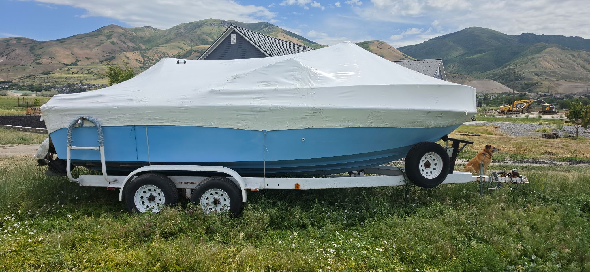 1978 Sea Ray Cuddy Cabin