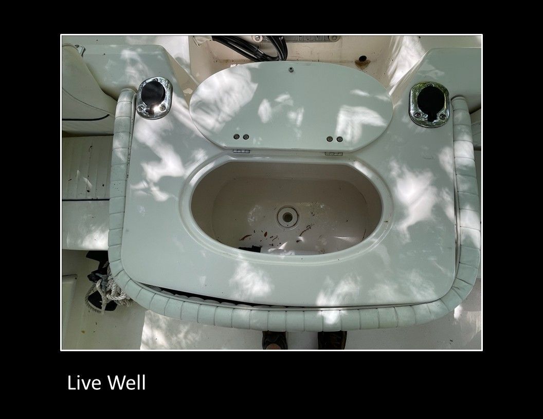 A live well on a 2004 Sea Hunt Escape boat, surrounded by padded edges.