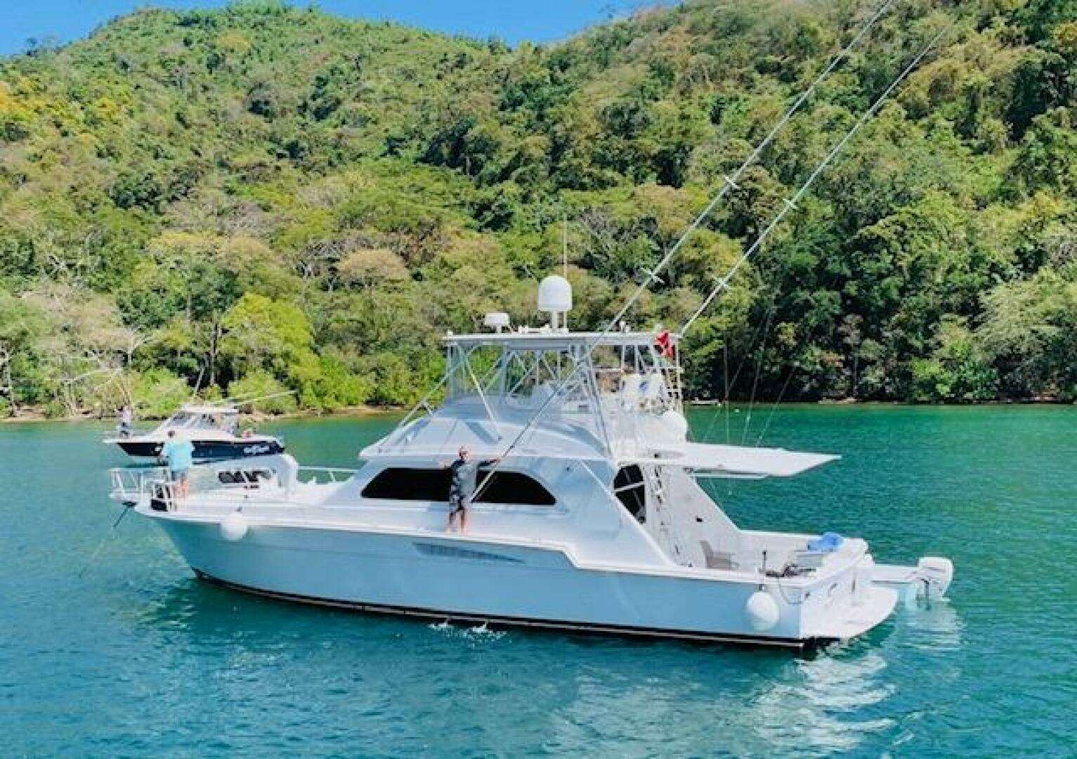1988 Bertram 54' - Image 5