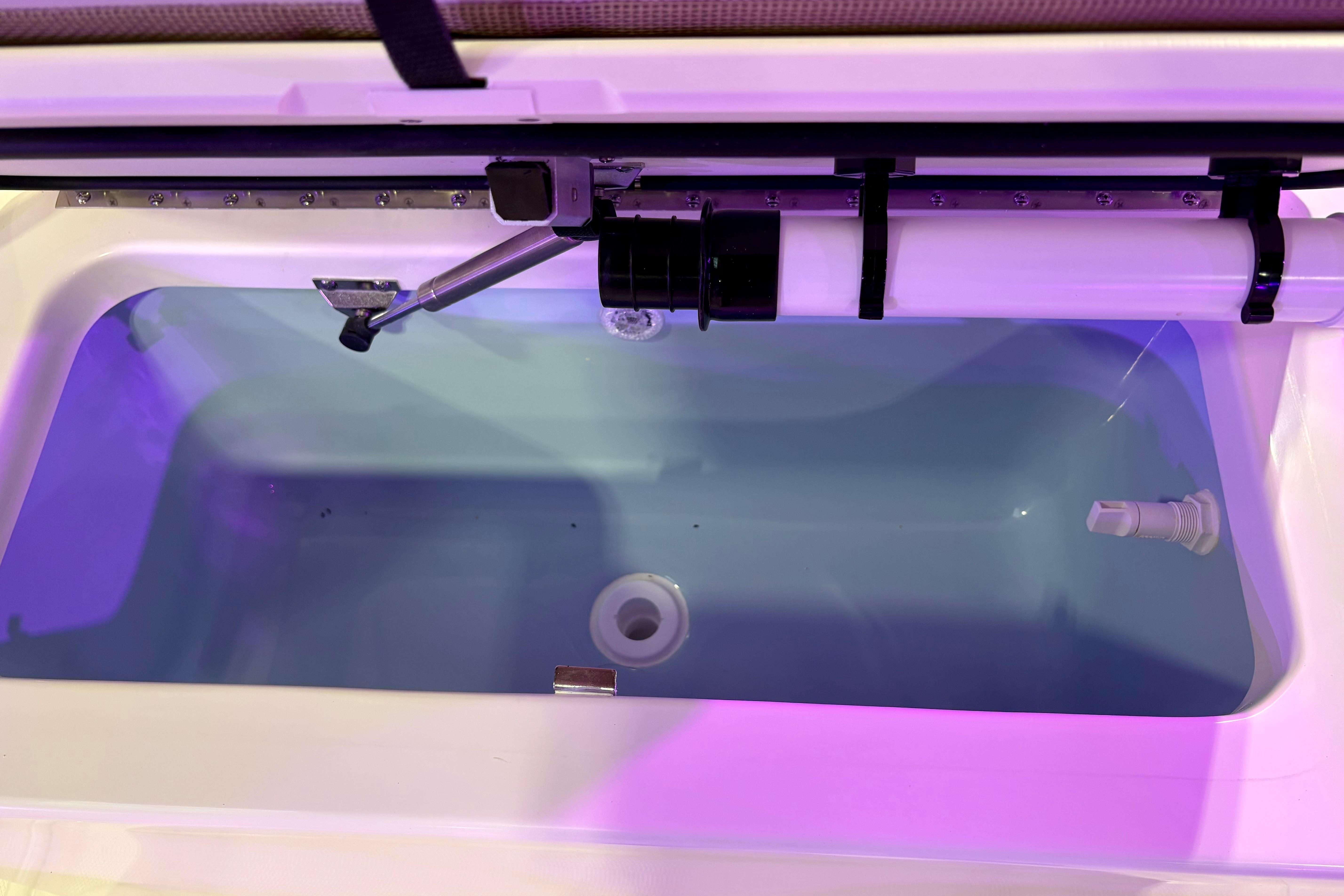 Livewell tank in 2026 Boston Whaler 170 Montauk boat, featuring clean water and plumbing.