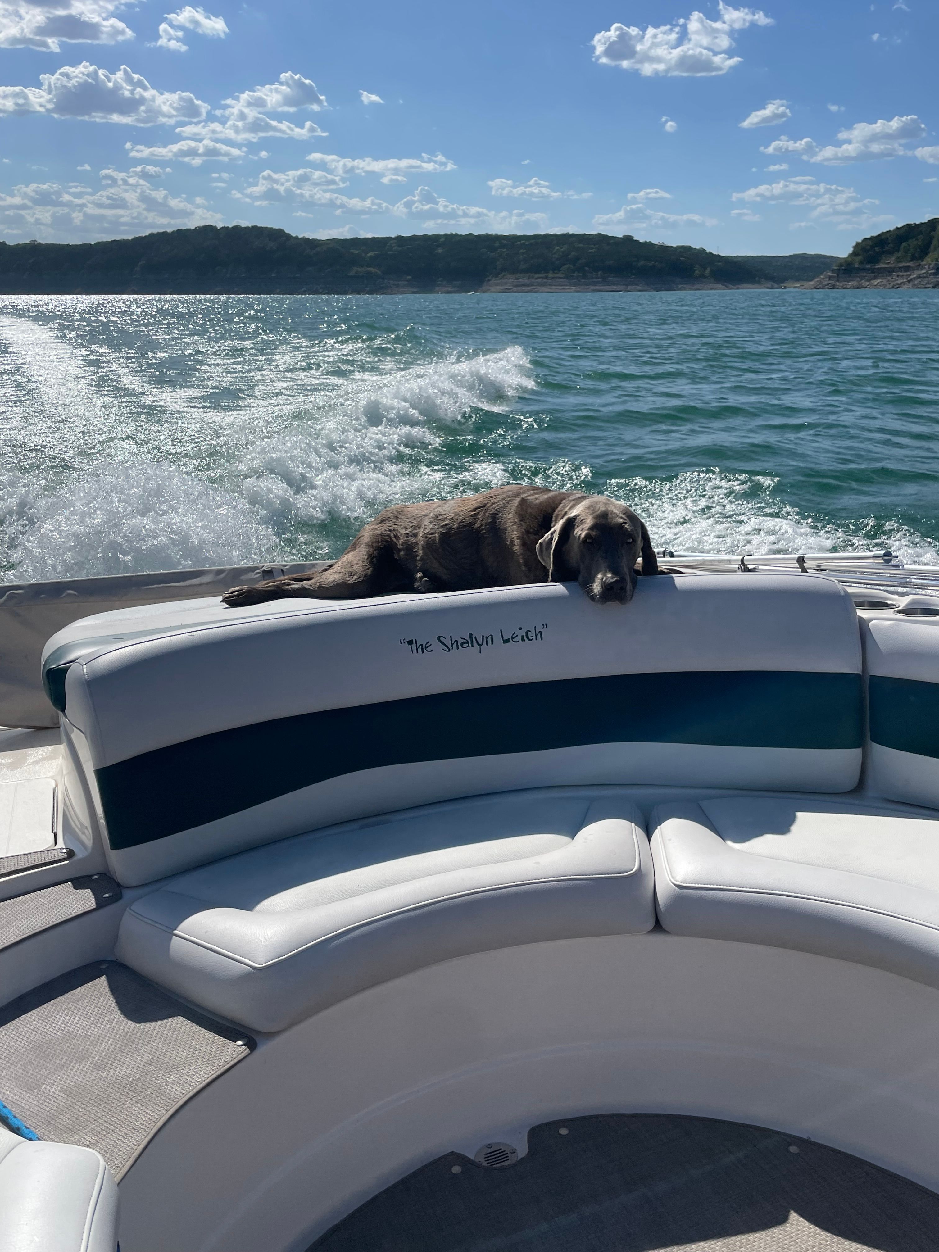 A dog lies on the back seat of a boat cruising on a lake.