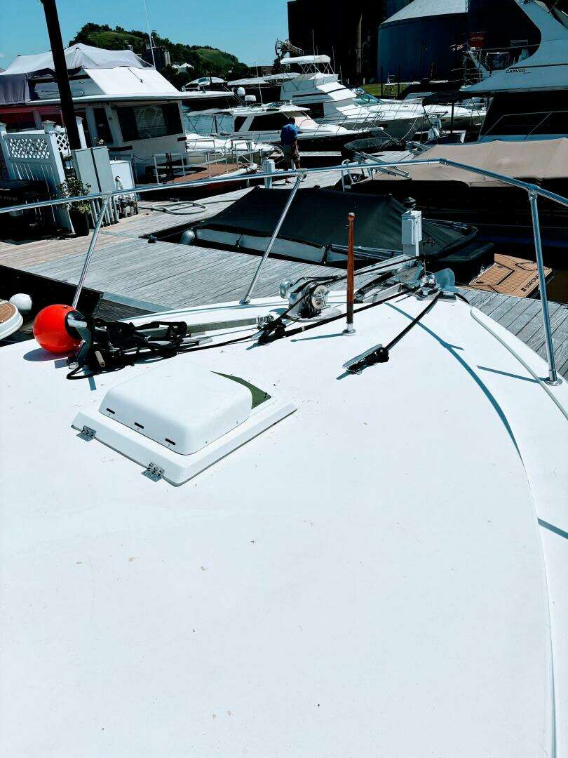 1977 Bertram 42 Motor Yacht - Image 10