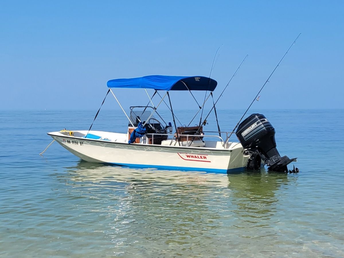 1981 Boston Whaler Montauk