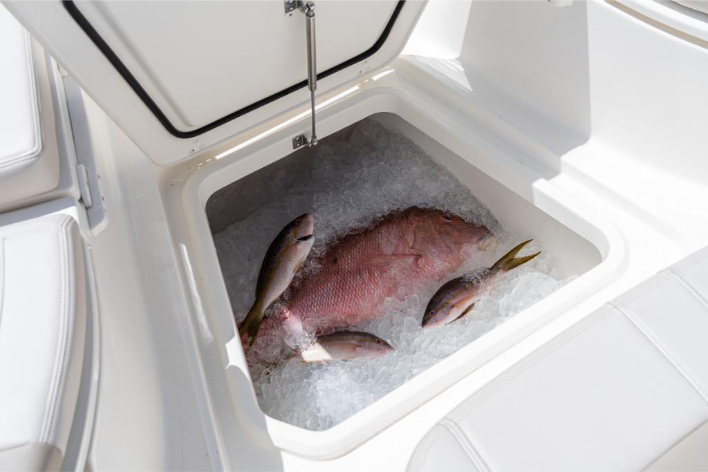 2024 Boston Whaler 280 Dauntless - 71