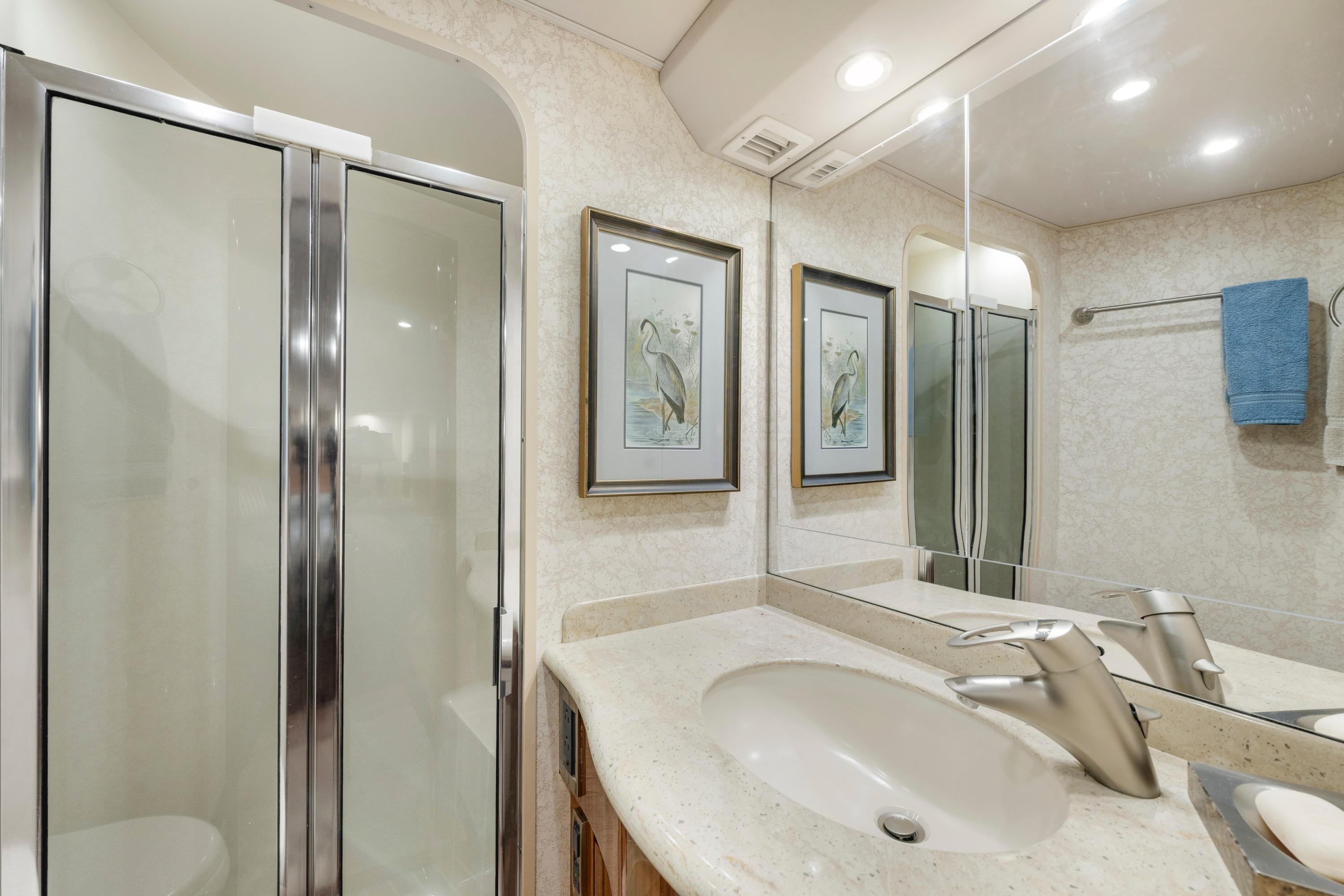 Luxurious bathroom in 2009 Viking 50 Convertible yacht with shower and elegant decor.