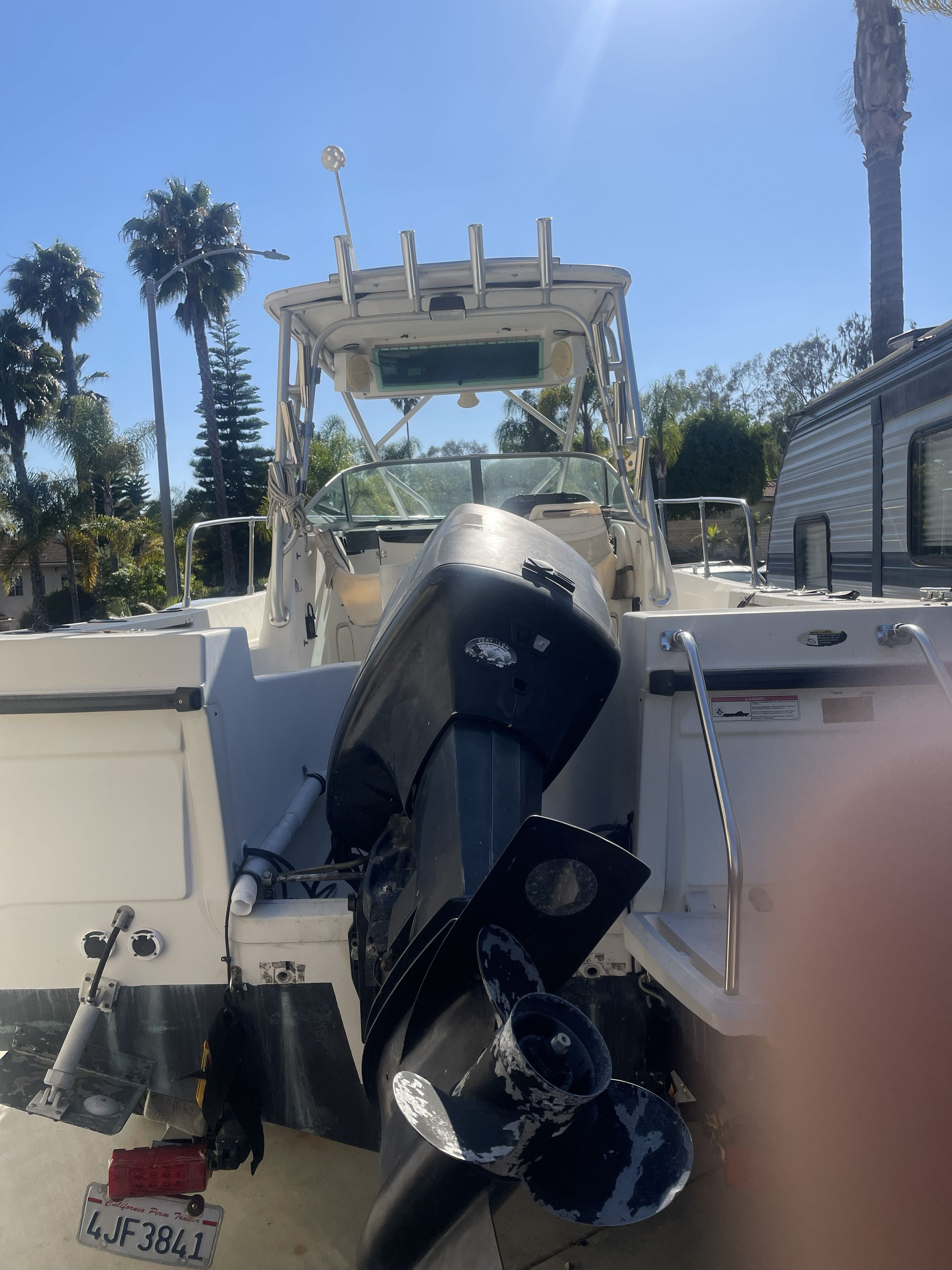 A Bayliner Trophy boat with an outboard motor, surrounded by palm trees and a trailer.