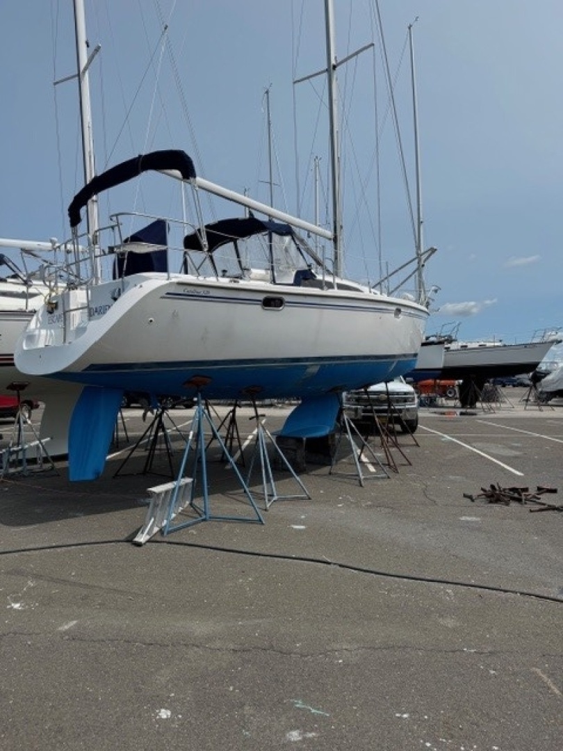 2006 Catalina 320 - Image 7